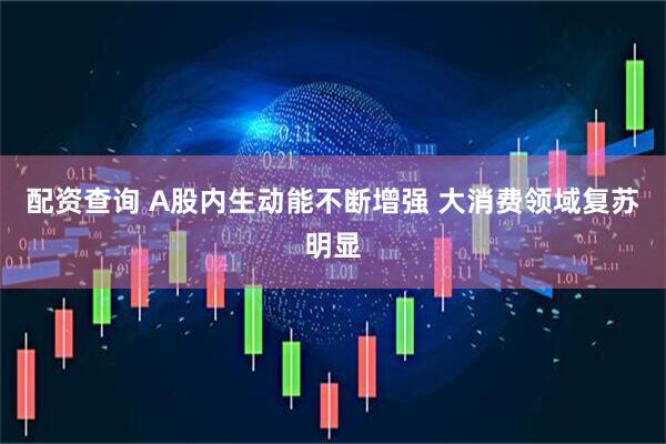 配资查询 A股内生动能不断增强 大消费领域复苏明显