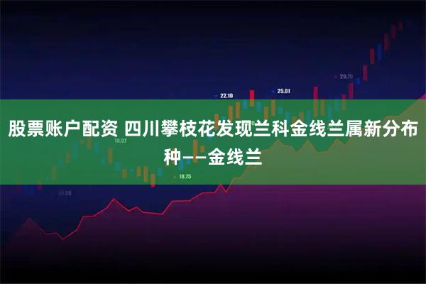 股票账户配资 四川攀枝花发现兰科金线兰属新分布种——金线兰