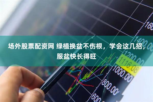 场外股票配资网 绿植换盆不伤根，学会这几招，服盆快长得旺